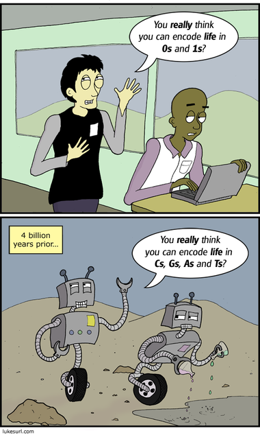 0000001, 00000011 000000111, 00001111 0000001, 00000011 000000111, 00001111