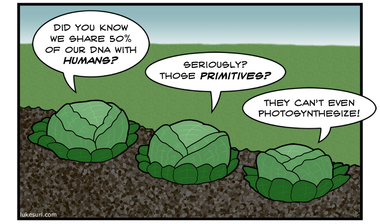 ZING! Oh, I wouldn't like to be a human right now!